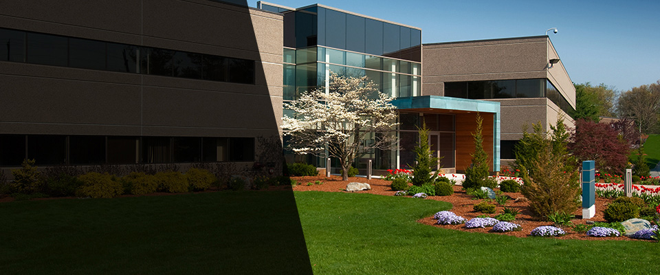 White Plains Landscapers