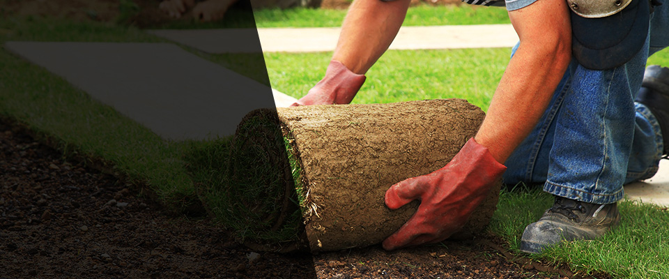 White Plains Landscapers